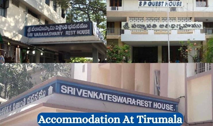 Accommodation in Tirumala